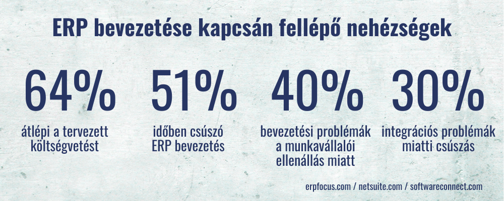 erp bevezetés