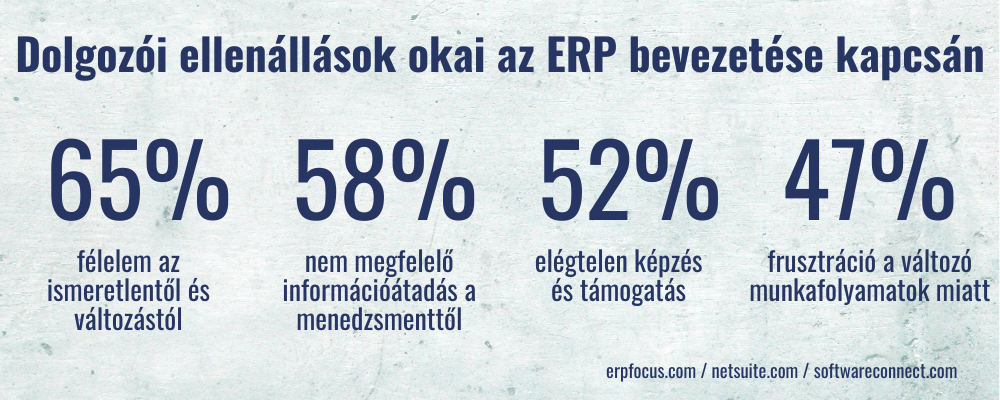 erp bevezetés