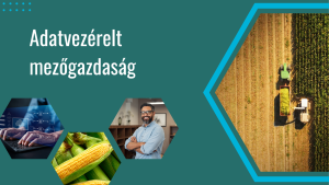adatvezérelt mezőgazdaság