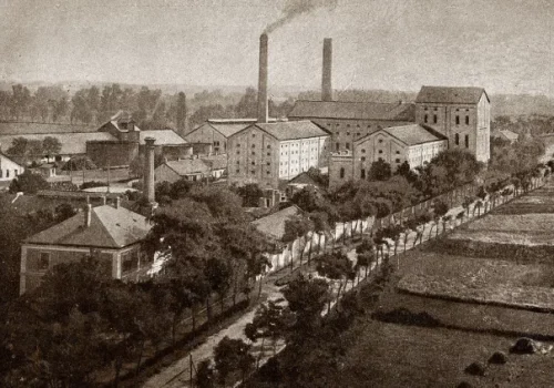 szeszgy